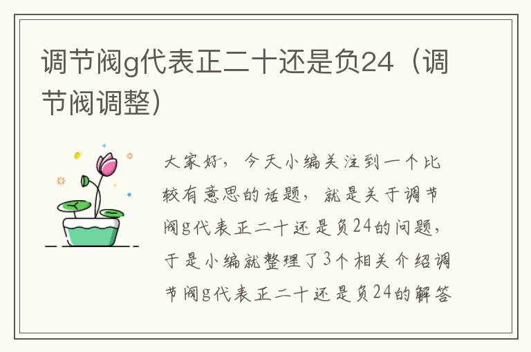 调节阀g代表正二十还是负24（调节阀调整）