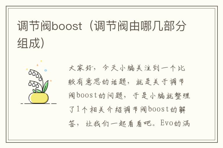 调节阀boost（调节阀由哪几部分组成）