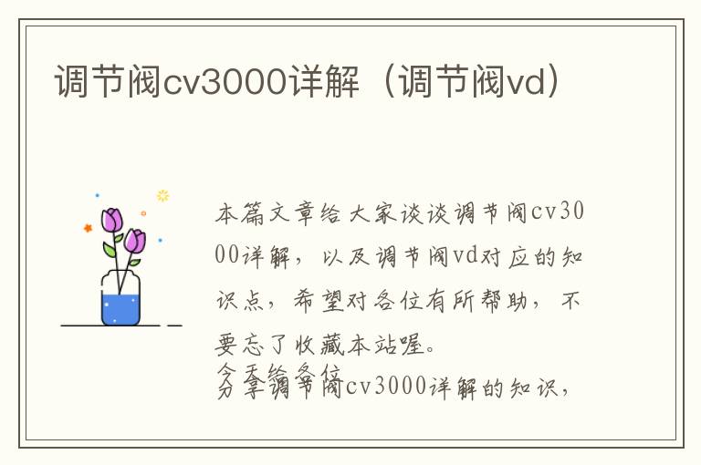 调节阀cv3000详解（调节阀vd）