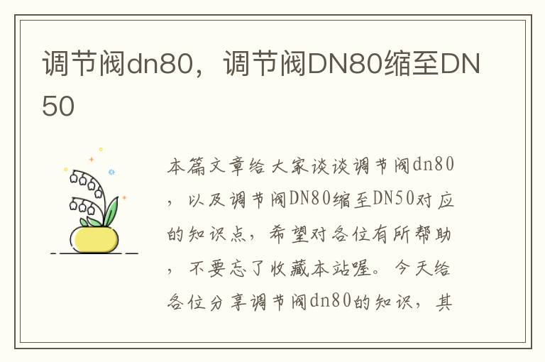 调节阀dn80，调节阀DN80缩至DN50