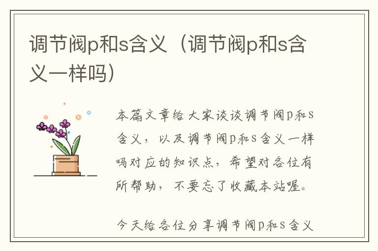 调节阀p和s含义（调节阀p和s含义一样吗）