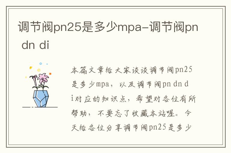 调节阀pn25是多少mpa-调节阀pn dn di