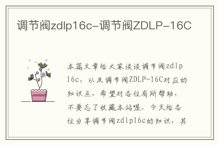 调节阀zdlp16c-调节阀ZDLP-16C