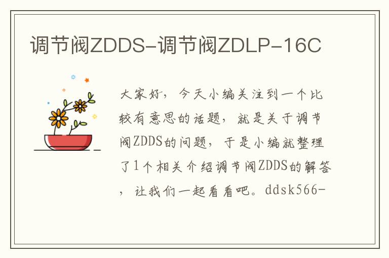 调节阀ZDDS-调节阀ZDLP-16C