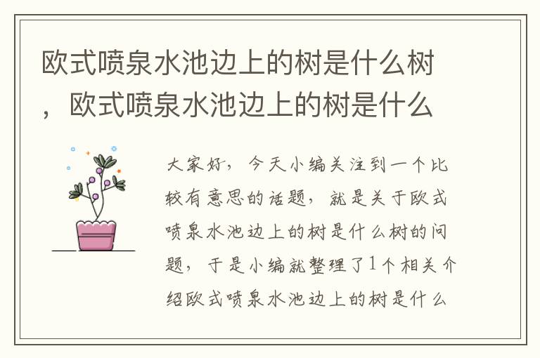 欧式喷泉水池边上的树是什么树，欧式喷泉水池边上的树是什么树木