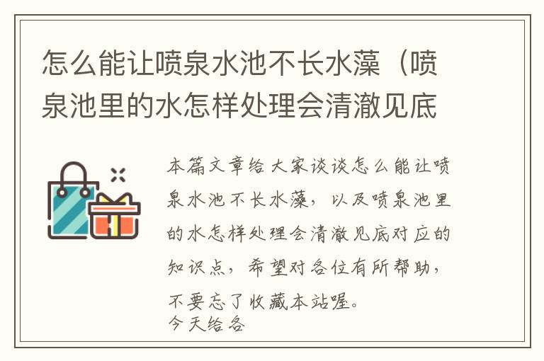 怎么能让喷泉水池不长水藻（喷泉池里的水怎样处理会清澈见底）