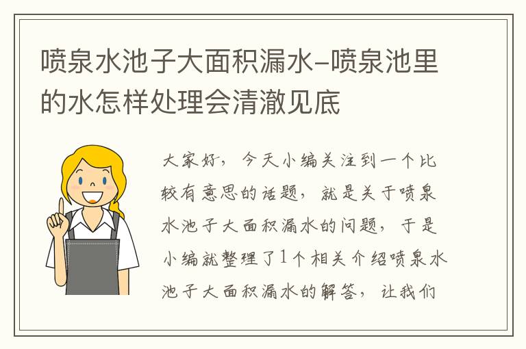 喷泉水池子大面积漏水-喷泉池里的水怎样处理会清澈见底