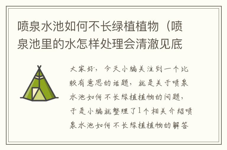 喷泉水池如何不长绿植植物（喷泉池里的水怎样处理会清澈见底）