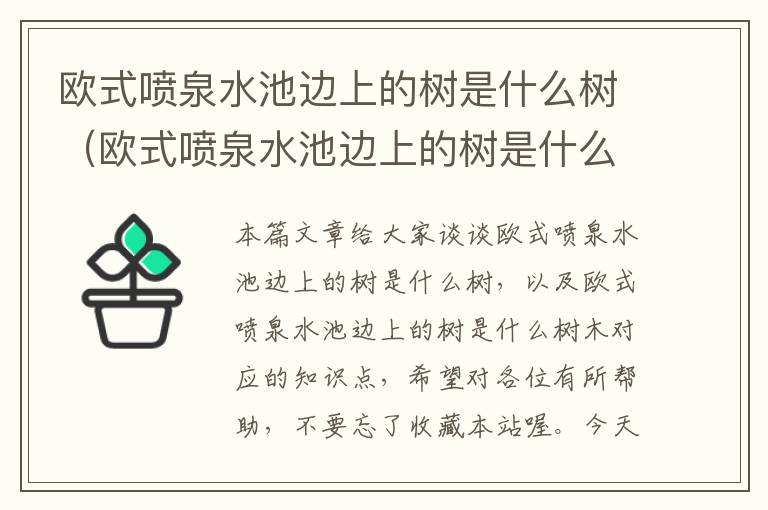 欧式喷泉水池边上的树是什么树（欧式喷泉水池边上的树是什么树木）