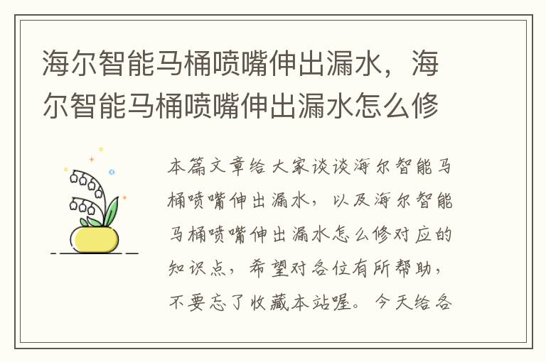 海尔智能马桶喷嘴伸出漏水，海尔智能马桶喷嘴伸出漏水怎么修