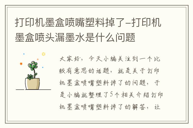 打印机墨盒喷嘴塑料掉了-打印机墨盒喷头漏墨水是什么问题