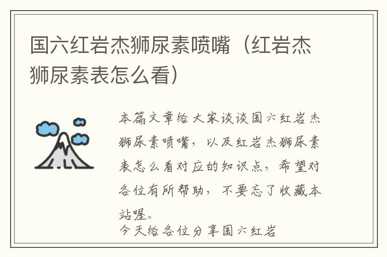 国六红岩杰狮尿素喷嘴（红岩杰狮尿素表怎么看）