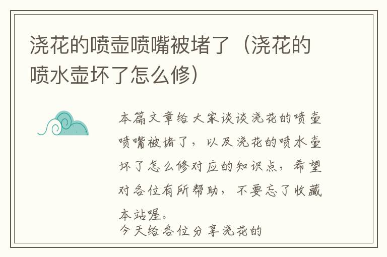 浇花的喷壶喷嘴被堵了（浇花的喷水壶坏了怎么修）