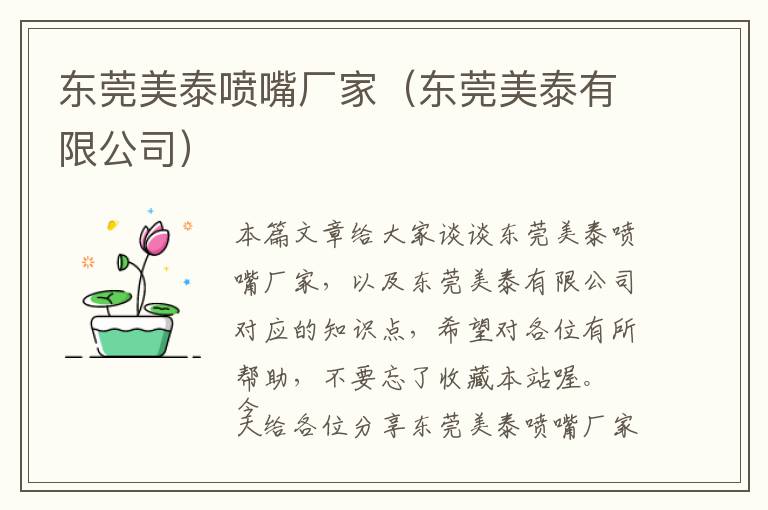 东莞美泰喷嘴厂家（东莞美泰有限公司）