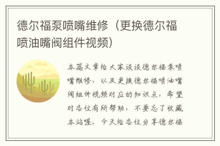 德尔福泵喷嘴维修（更换德尔福喷油嘴阀组件视频）