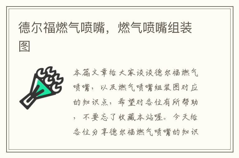 德尔福燃气喷嘴，燃气喷嘴组装图