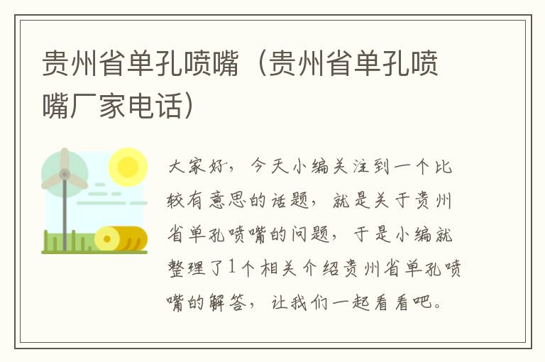 贵州省单孔喷嘴（贵州省单孔喷嘴厂家电话）