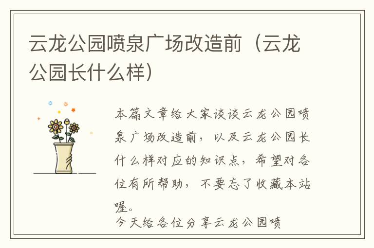 云龙公园喷泉广场改造前（云龙公园长什么样）