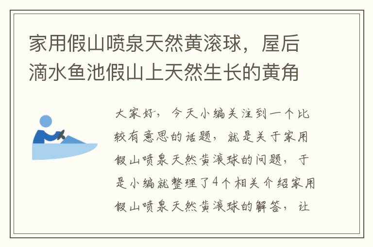 家用假山喷泉天然黄滚球，屋后滴水鱼池假山上天然生长的黄角树有何妨?